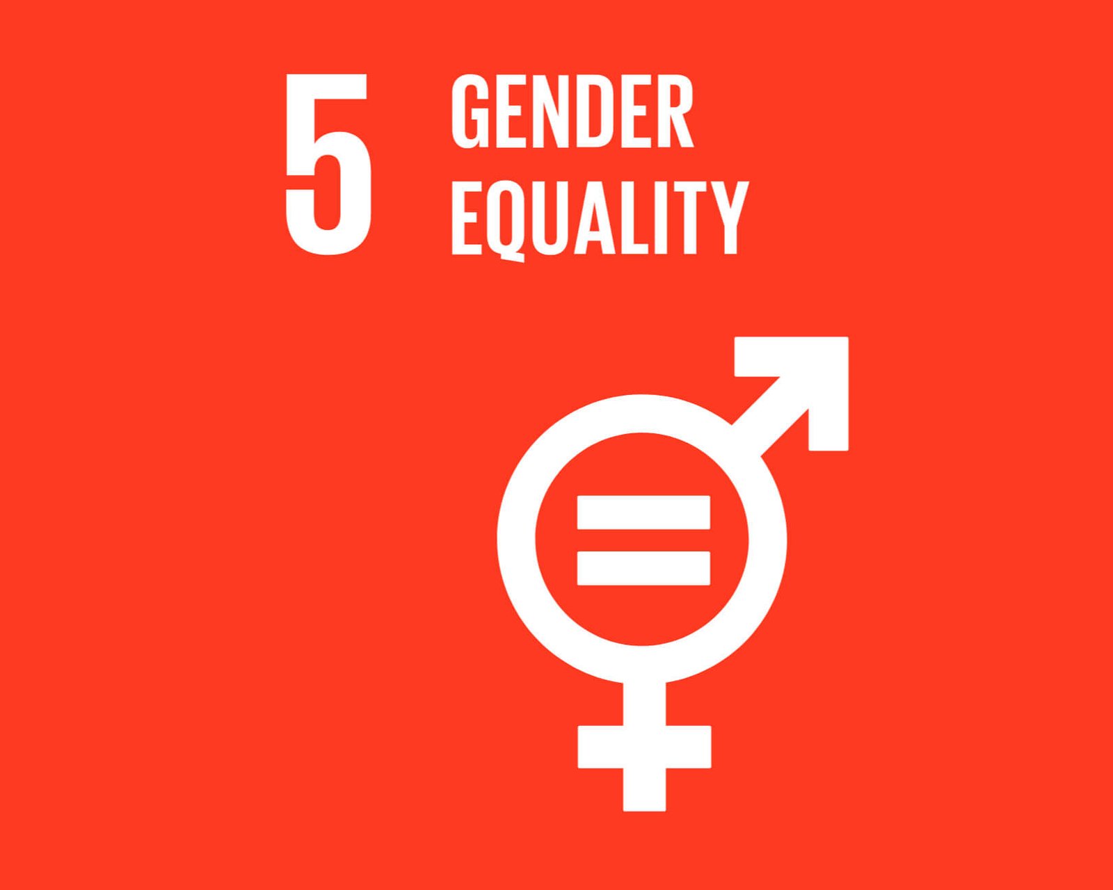 Ecommerce Flat Rate Shipping EBEP Express