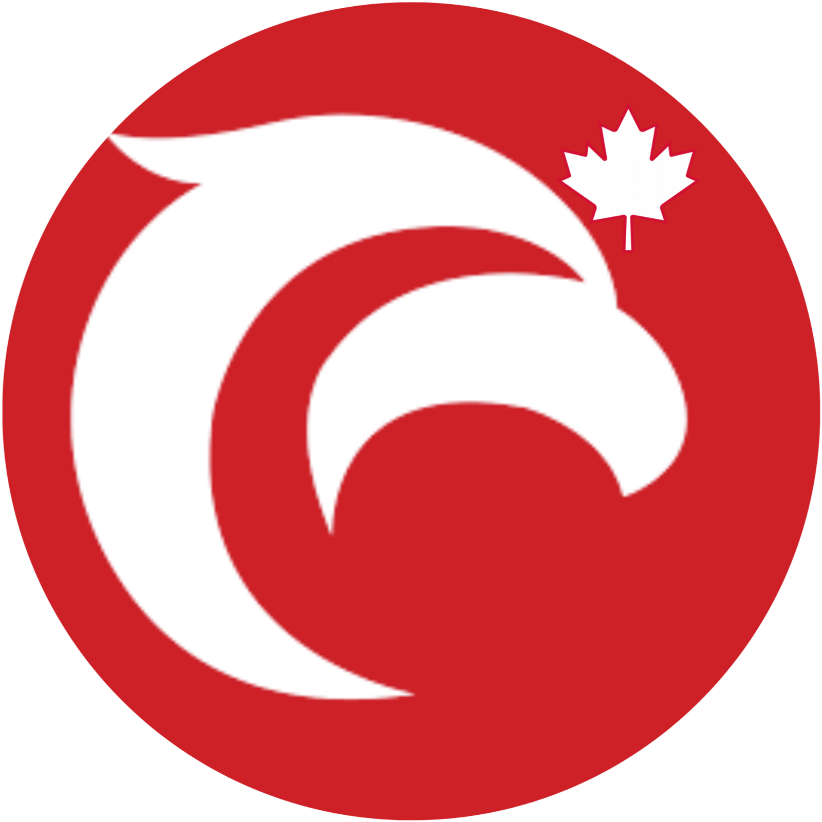 Ecommerce parcel shipping EBEP Express