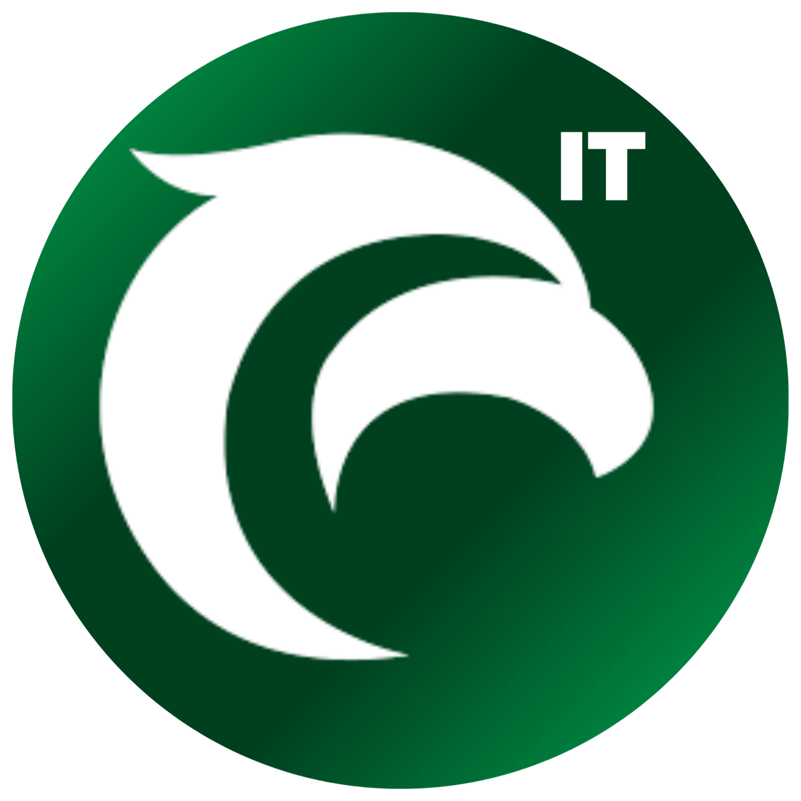 Ecommerce parcel shipping EBEP Express